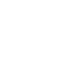 rics lion.png